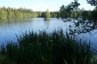 Kladská