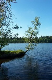 Kladská