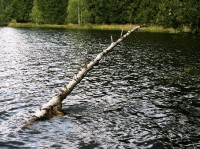 Kladská