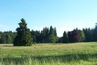 Kladská
