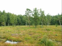 Heidenreichsteiner Moor