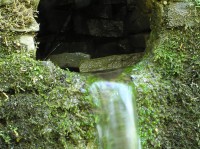 Cestička na Javorník - duben 2012