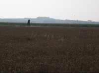 Menhir u Klobuk