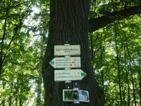 Kaplička sv.Rochus