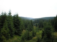 Údolí: Pohled na Bezručovo údolí od Polského rašeliniště