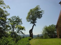 Grabštejn