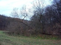 Radotín: Slavičí údolí