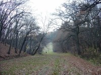 Radotín: Slavičí údolí