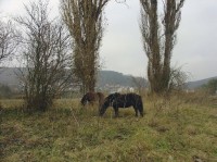 Radotín: u Berounky 