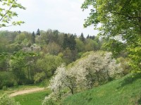 Holečkovy sady
