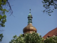 Zámek - detail: Na jaře u zámku (krom jiného) rozkvétá bílý šeřík. 