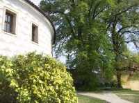 Zámek v Kostelci nad Černými lesy: Zámek je obklopen hezkým parkem, jehož část poskytuje krásný výhled do okolí, především do nádherné - blízké i vzdálené - přírody.