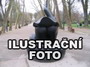 Letiště Laguna De Los Patos
