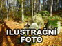 Libhošťská hůrka
